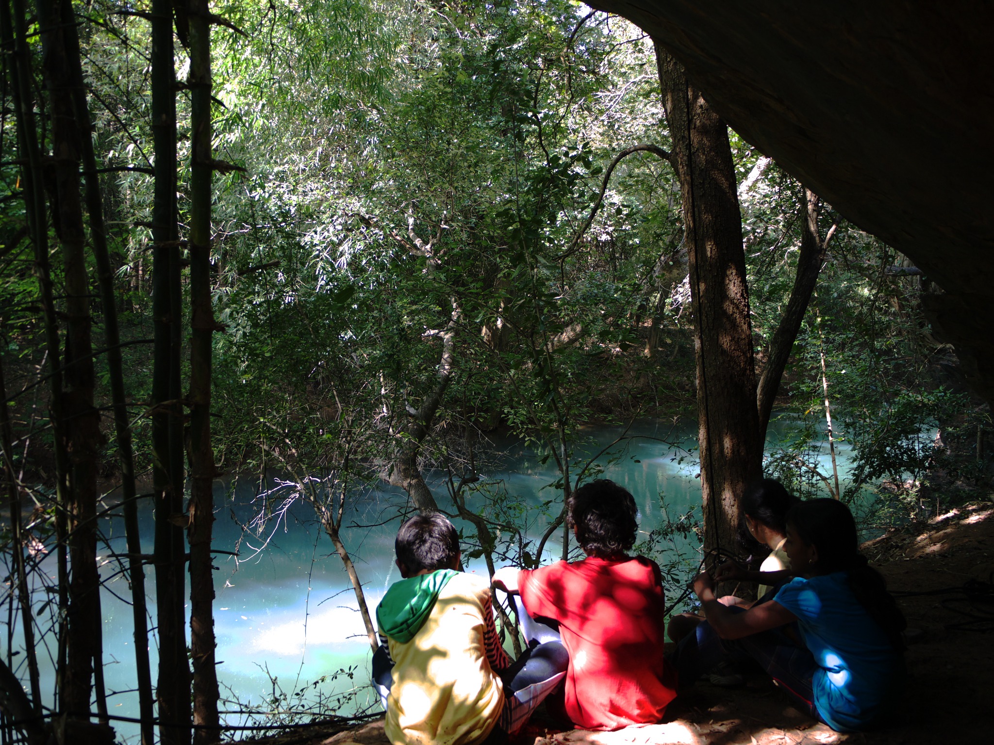Children resting together near a clear forest stream in the shade of trees