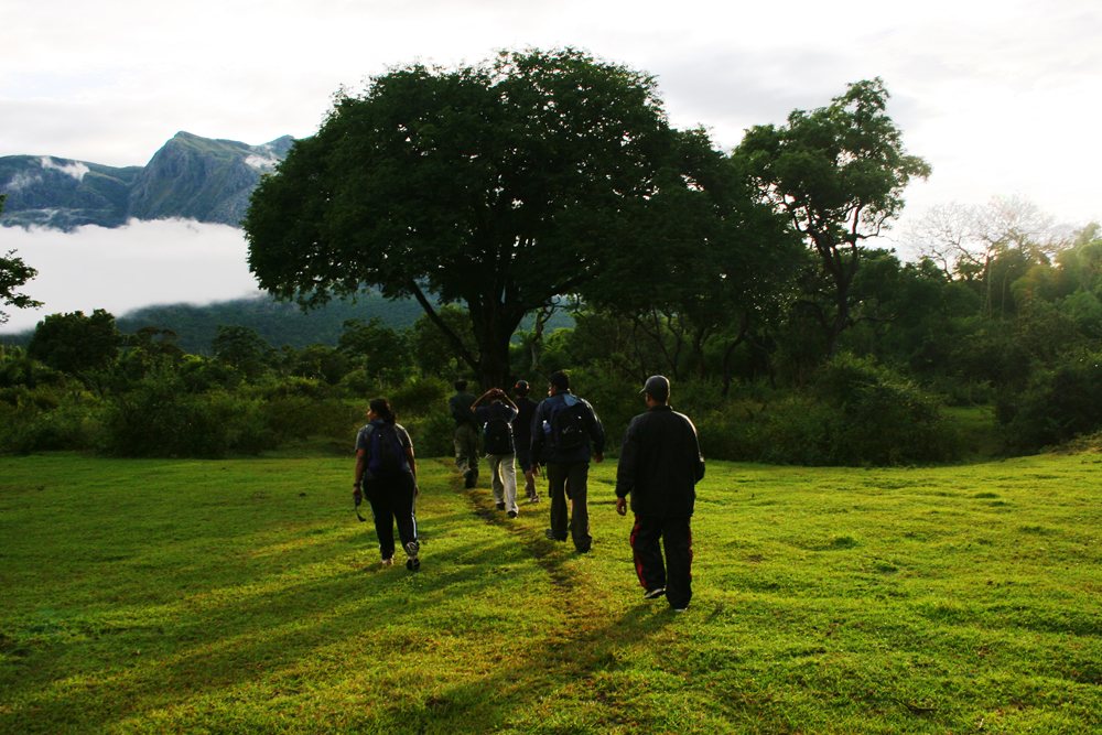 A group walking through a green meadow toward forested mountains at sunrise