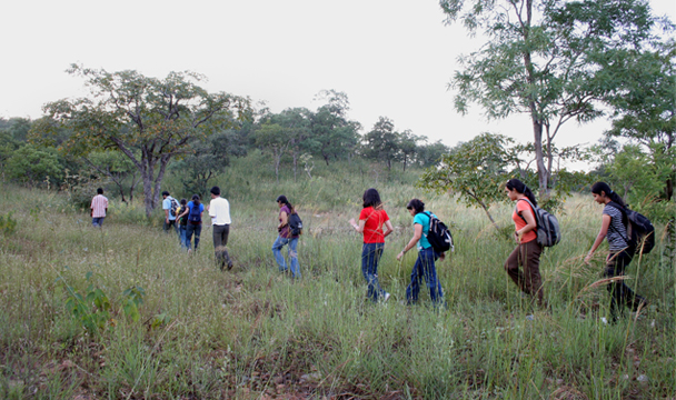 A group hiking through tall grass and trees on a nature trail